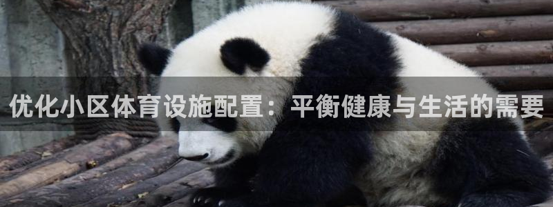 意昂4五金厂：优化小区体育设施配置：平衡健康与生活的需要