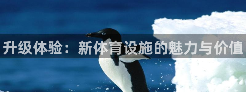 意昂平台体育：升级体验：新体育设施的魅力与价值