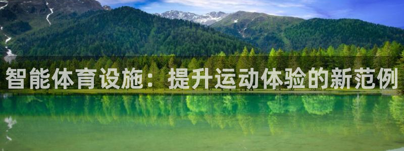 意昂4五金厂：智能体育设施：提升运动体验的新范例