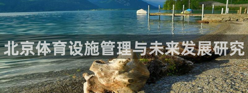 意昂4集团E.ON：北京体育设施管理与未来发展研究