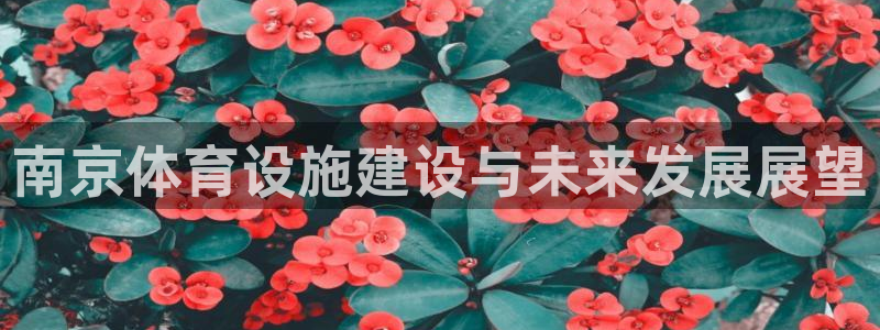 海南意昂体育4：南京体育设施建设与未来发展展望