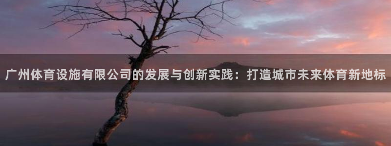 意昂4新能源：广州体育设施有限公司的发展与创新实践：