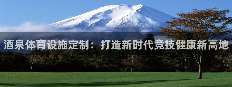 意昂4集团E.ON：酒泉体育设施定制：打造新时代竞技