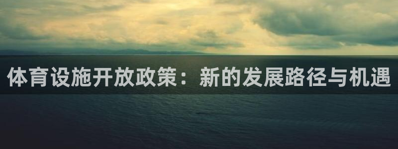 意昂4官网：体育设施开放政策：新的发展路径与机遇