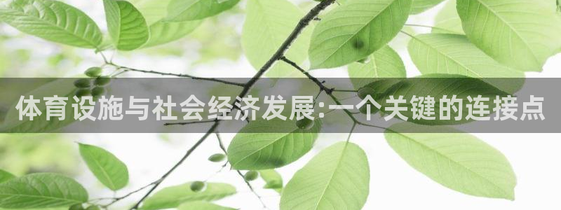 意昂4集团官网首页网址：体育设施与社会经济发展:一个