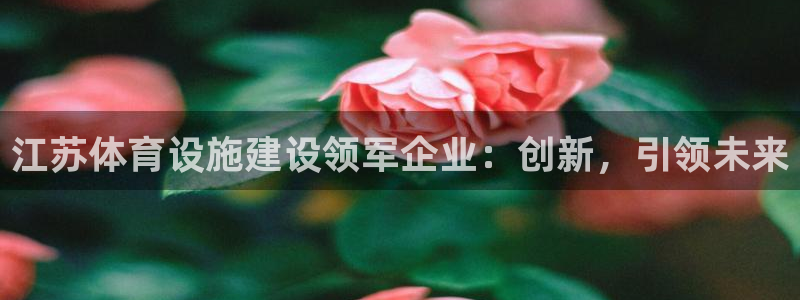 意昂体育4平台注册：江苏体育设施建设领军企业：创新，
