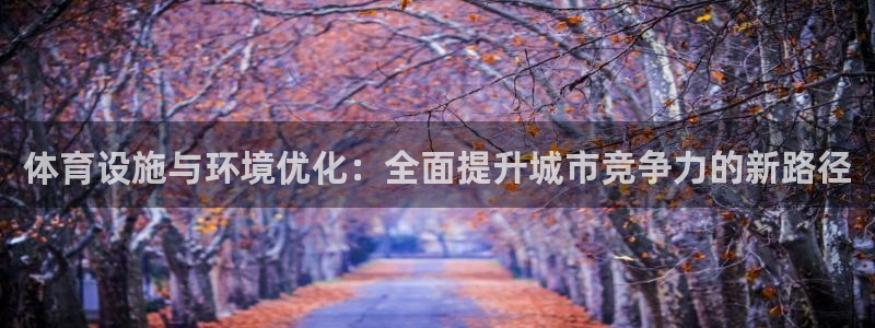 海南意昂体育4：体育设施与环境优化：全面提升城市竞争