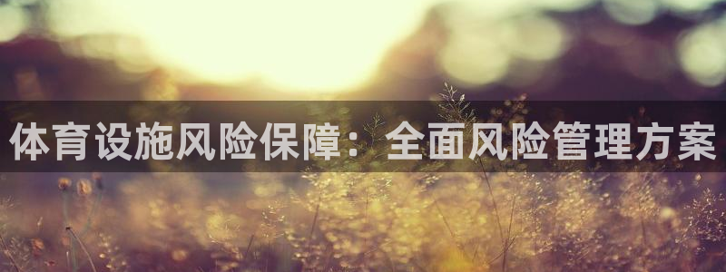 意昂体育4娱乐：体育设施风险保障：全面风险管理方案