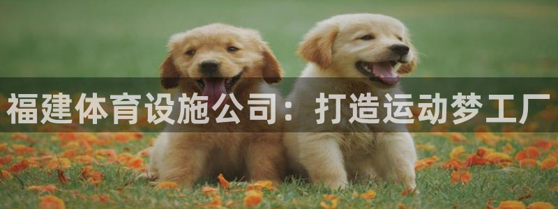 意昂体育4招商电话号码是多少号：福建体育设施公司：打造运动梦