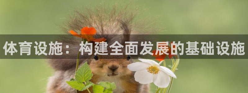 意昂体育4招商电话地址查询：体育设施：构建全面发展的