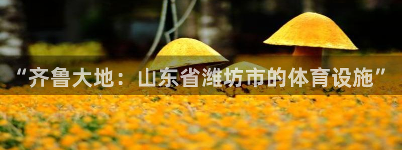 意昂体育4注册：“齐鲁大地：山东省潍坊市的体育设施”