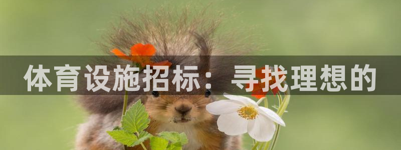 意昂体育4招商电话地址查询：体育设施招标：寻找理想的